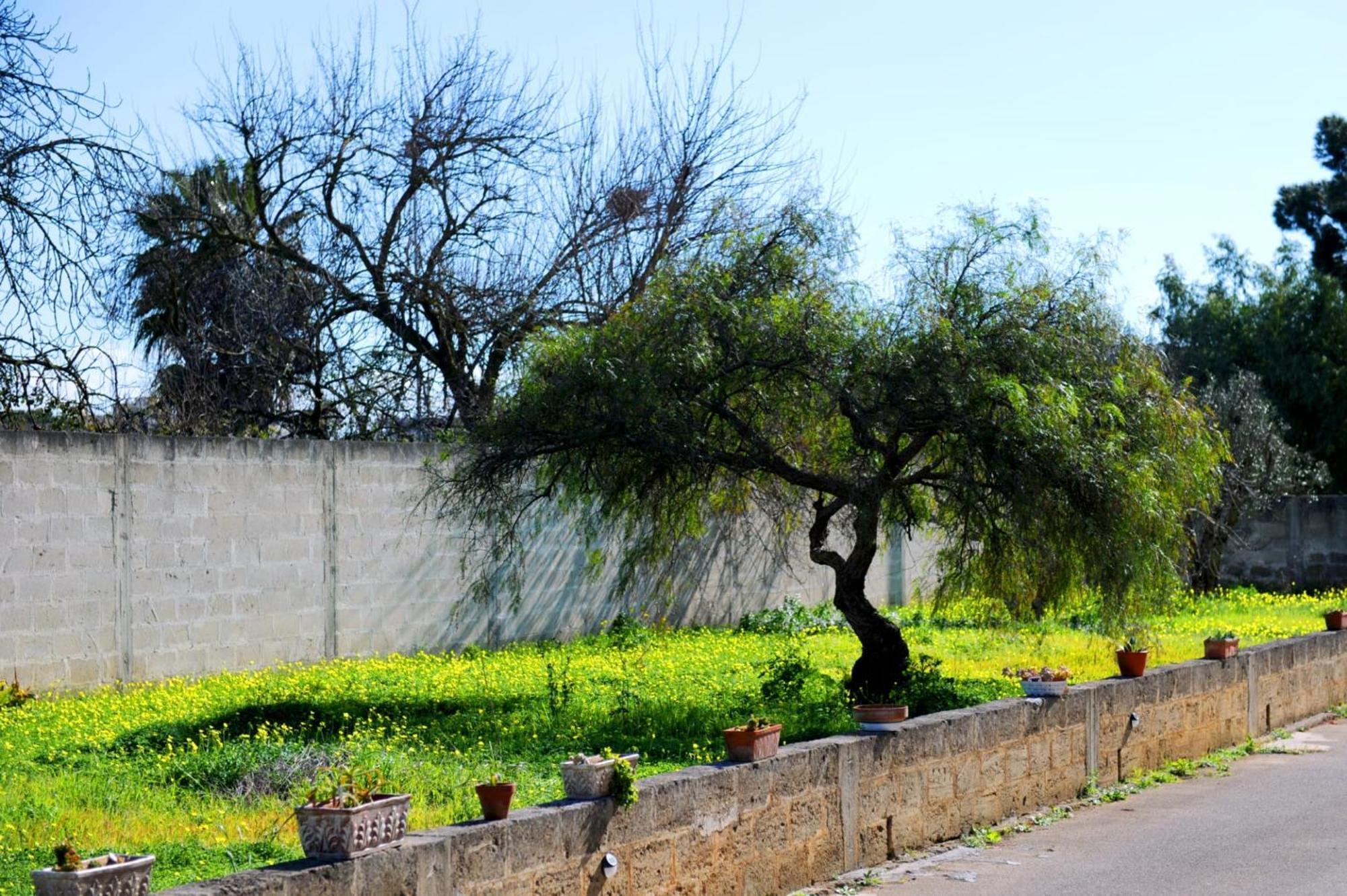 Le Residenze Salentine - Case Vacanza In Lecce Exteriér fotografie